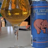 Delirium Tremens - Delirium - Huyghe Brewery