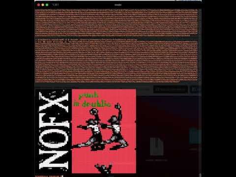Program Demonstration Video