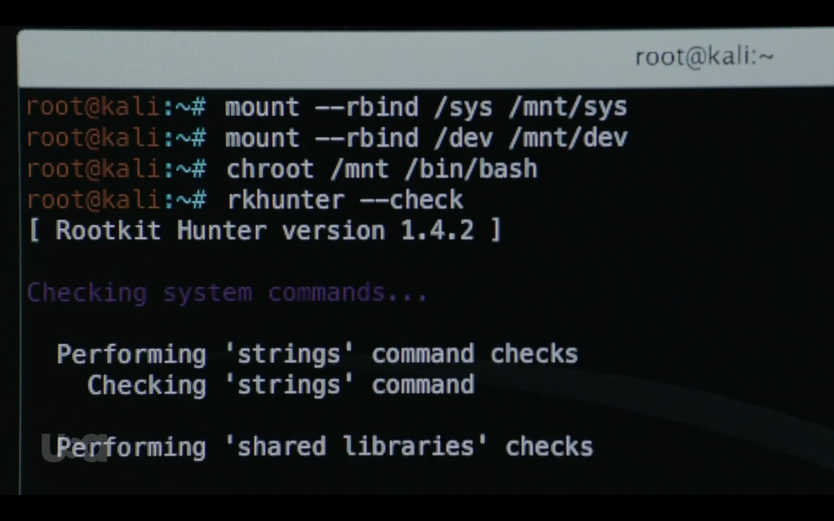 Closeup of the rkhunter command line.