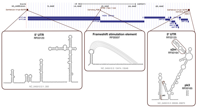 SARS-CoV-2 Rfam secondary structure predictions from Huffsky et al., 2020