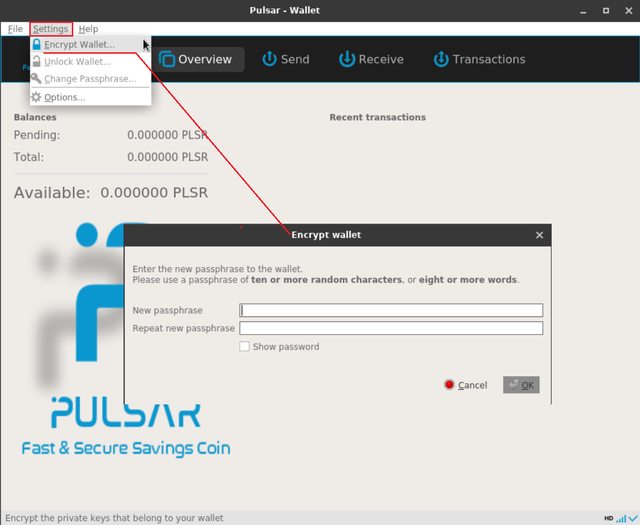Pulsar Wallet Encryption