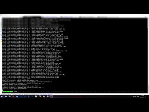 Hiveos Tutorial: Easy AMD Driver Install/Update