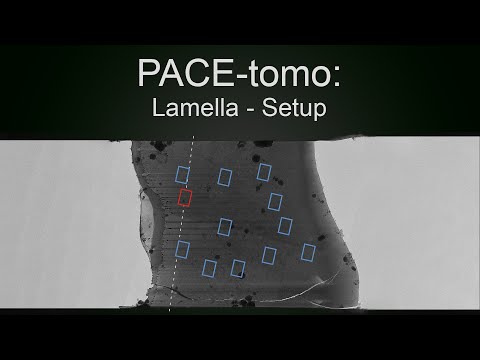 PACE-tomo: Lamella - Target Setup