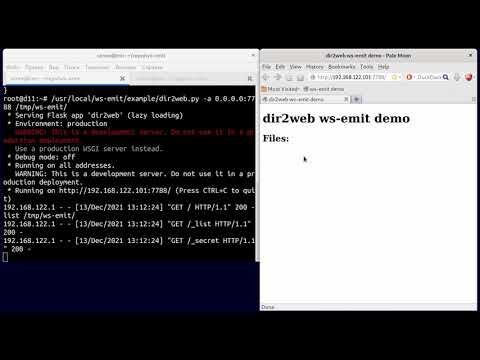 ws-emit screencast