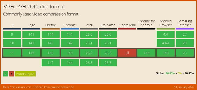 Data on Global support for the MPEG-4/H.264 video format