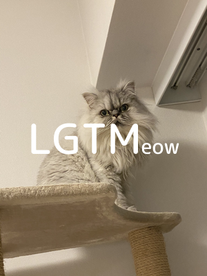 LGTMeow