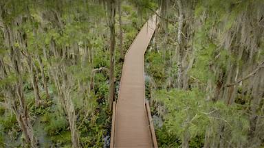 Trees with Spanish moss over a boardwalk in the Okefenokee Swamp, Folkston, Georgia (© Emmer Photo/Alamy)