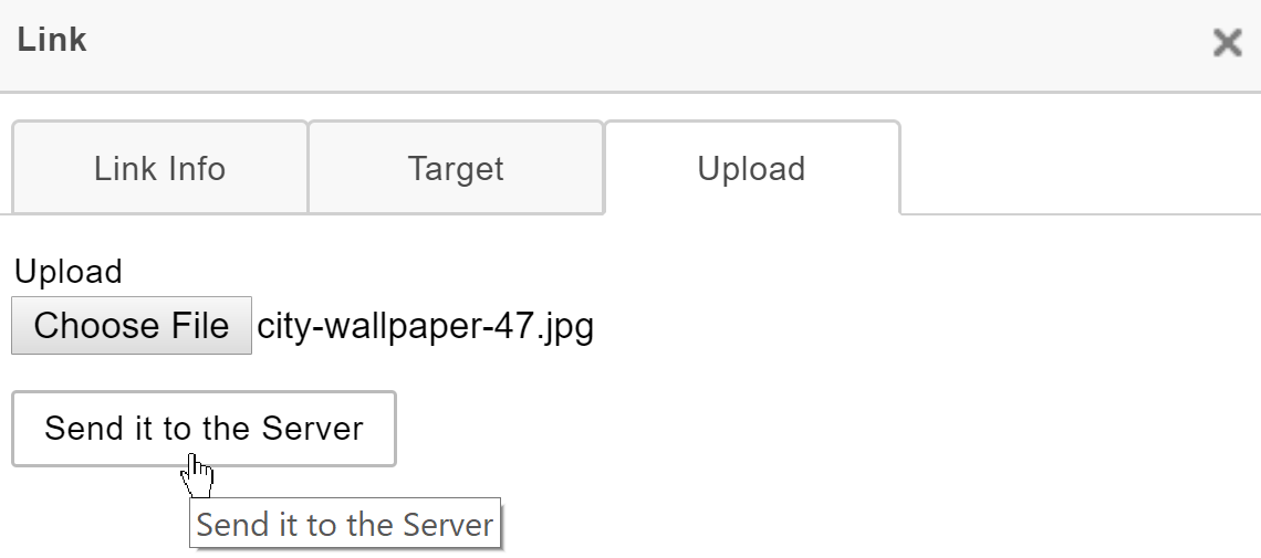 Mouse cursor over the "Send it to the Server" button