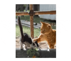 Mask-Modifier-Tool2-ezgif-com-optimize