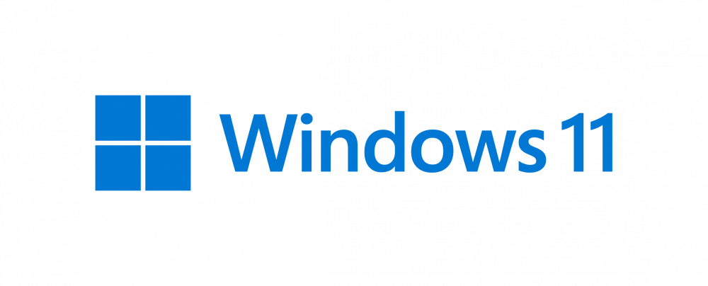 Win11 logo