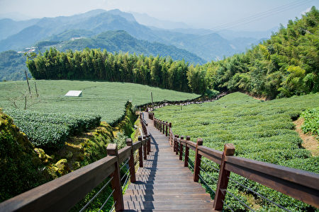 石棹步道群—霞之道。