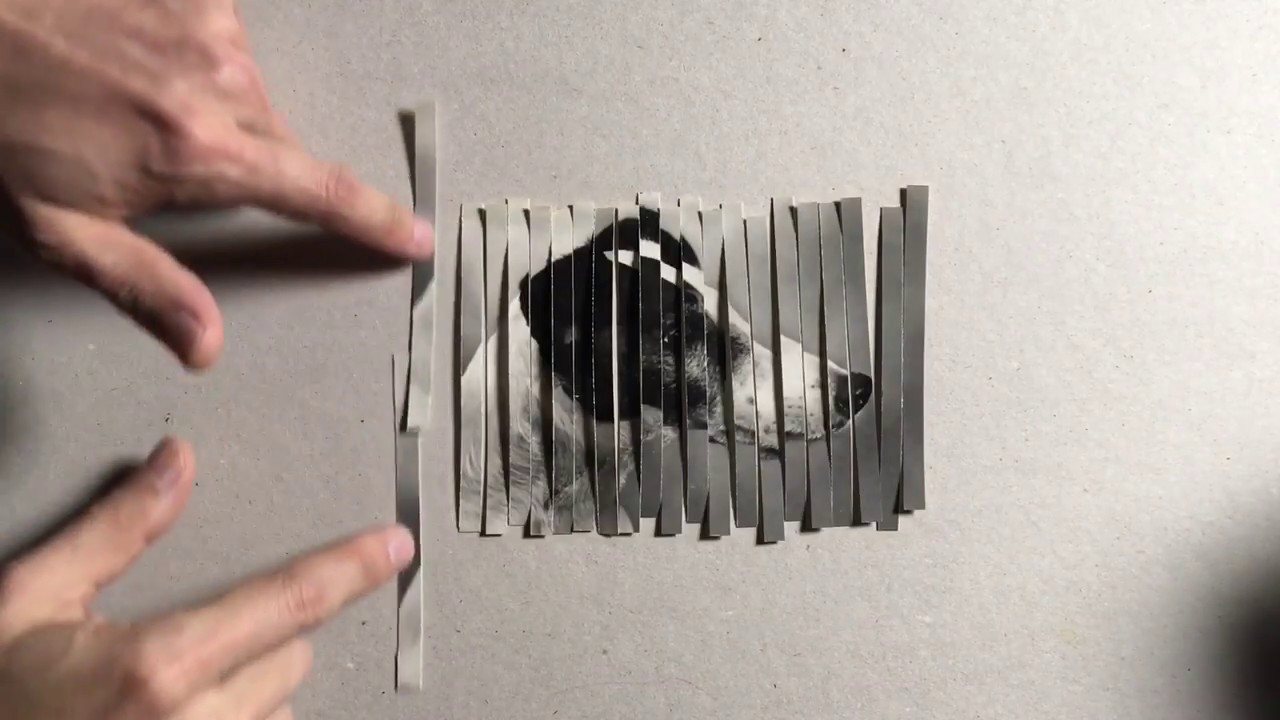 voir