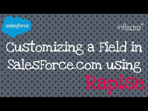 Rapise Testing SalesForce