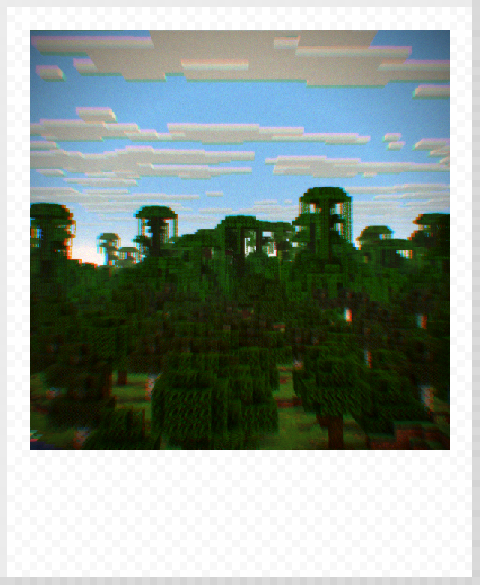 Sharp Jungle Photo