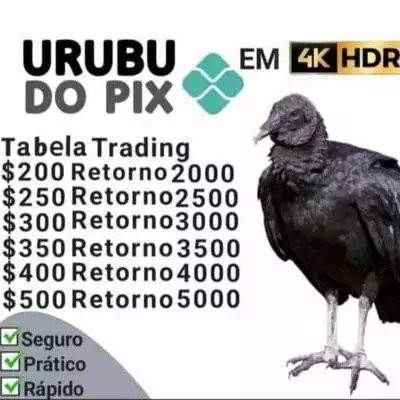 Urubuzao do pix.