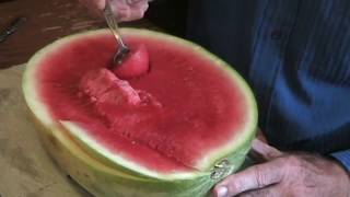 How to Eat a Watermelon Tutorial Tom Willett