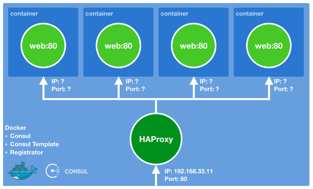 Overview Figure