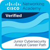 Junior Cybersecurity Analyst Career Path