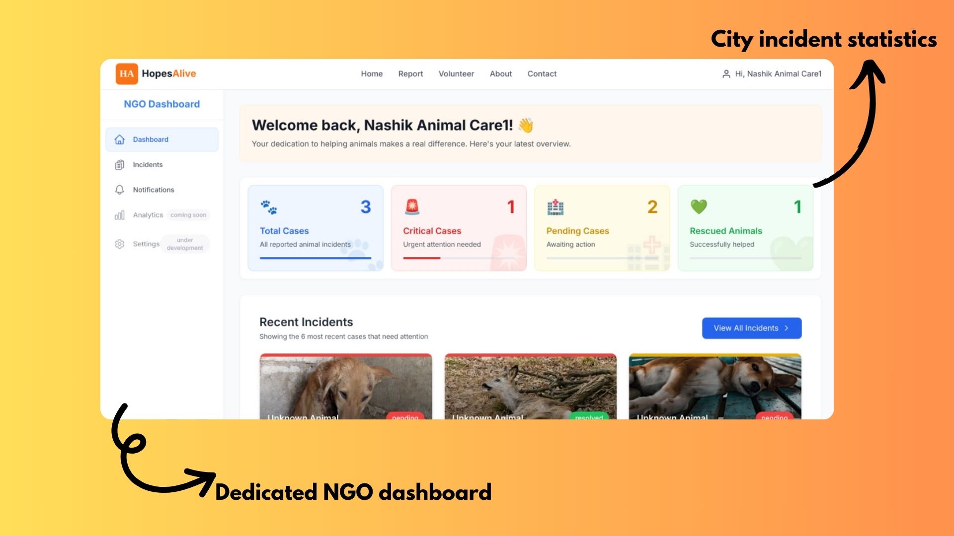 NGO Dashboard