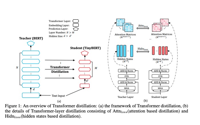 Transformer_distillation架构图