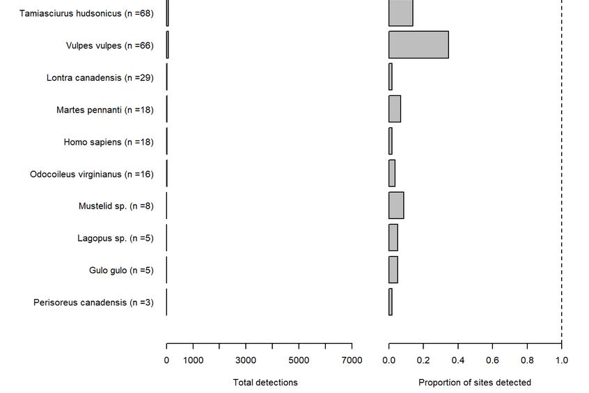 detections