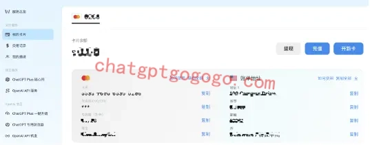 野卡虚拟卡示例