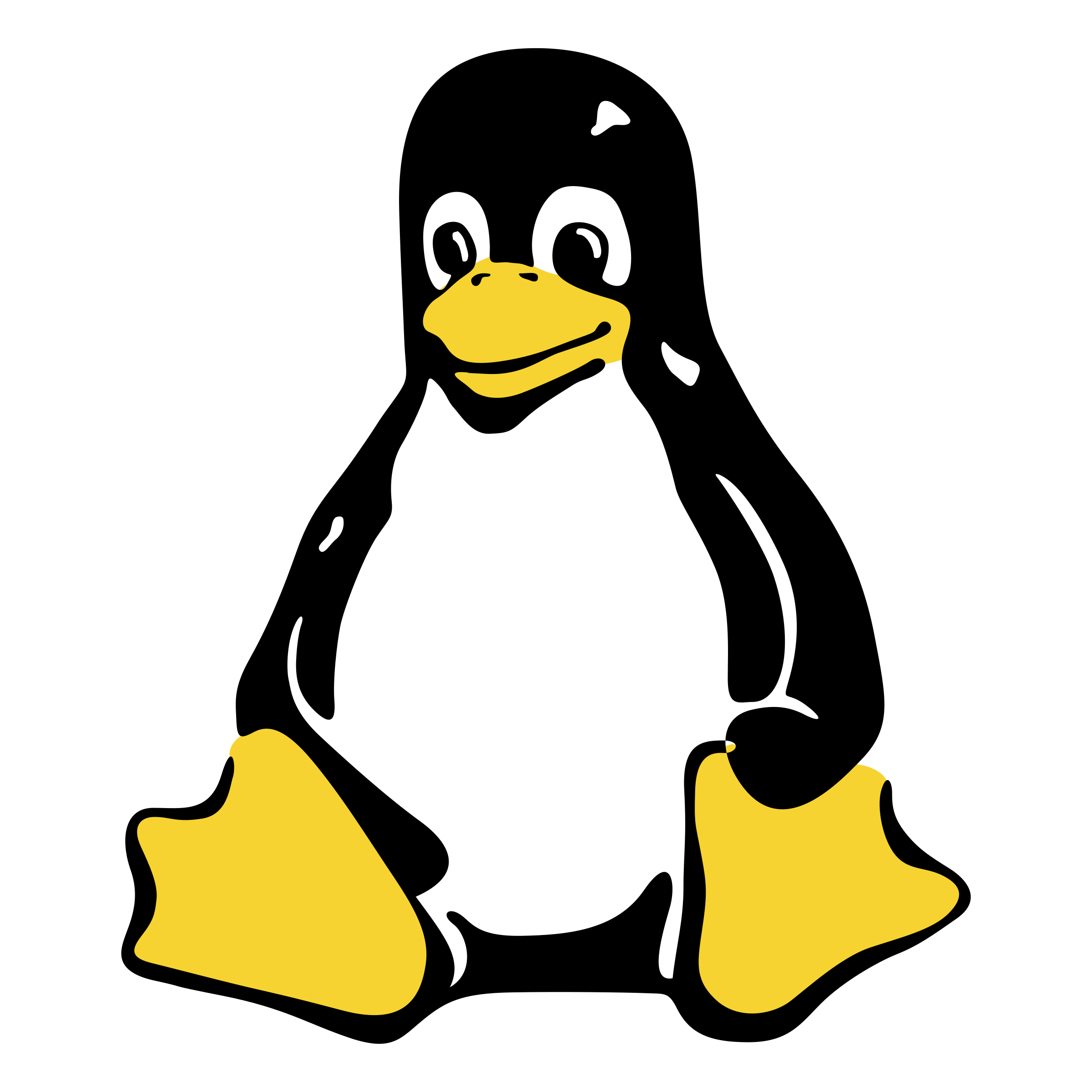 Linux OS