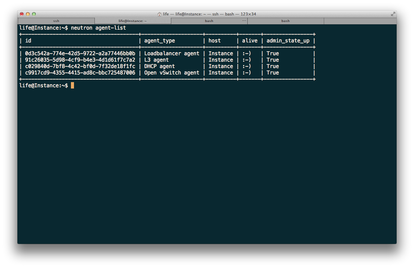 neutron-agent-list