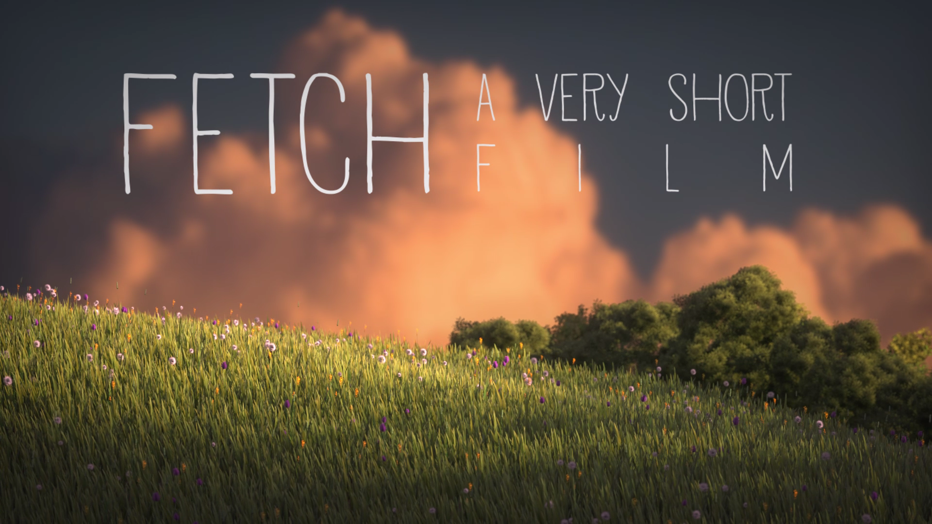 Fetch (2013 Preview)