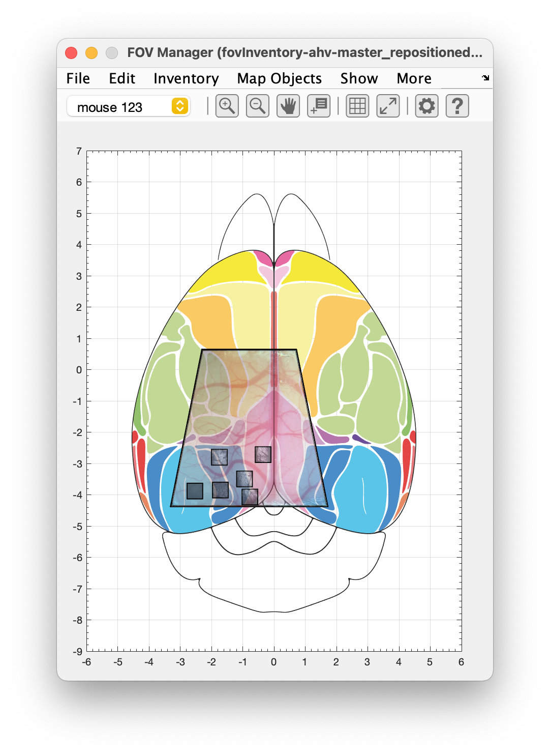 Imviewer instance