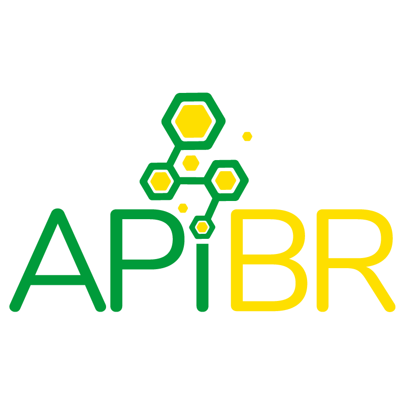 API BR Logo