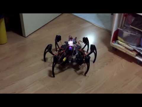 Bots hexapod in action