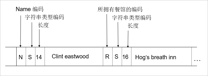 具有可变格式的记录