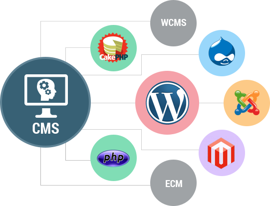 How can find good CMS and Web Development companies in India & USA