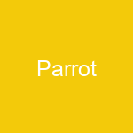 Parrot