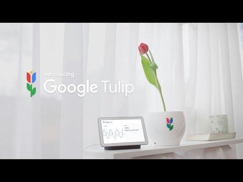 Google Tulip