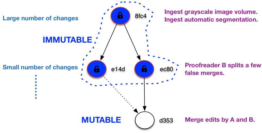 Versioning using DAG fits mutable/immutable stores