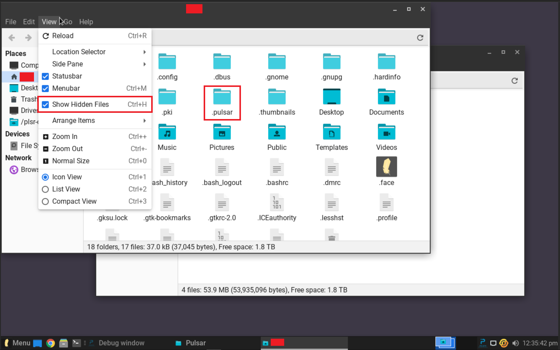 Show hidden files to reveal .pulsar directory in Linux Lite