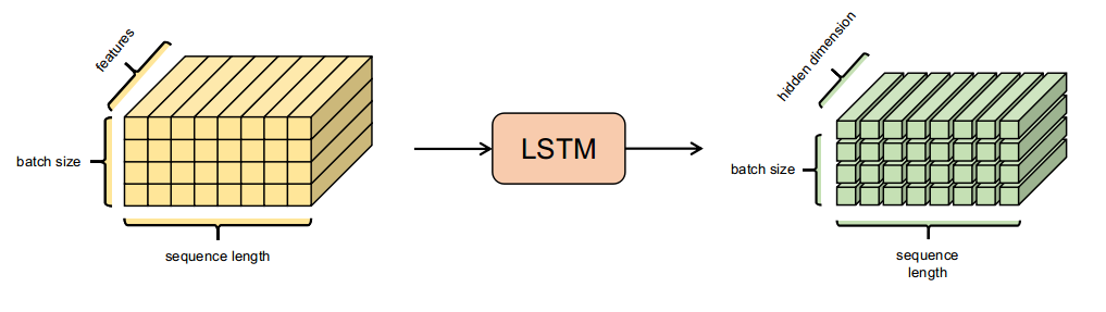 LSTM I/O