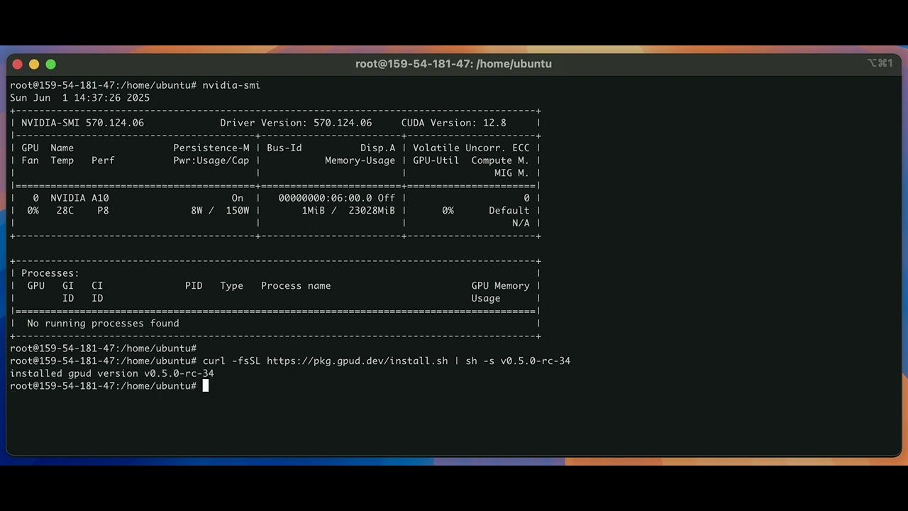 gpud-2025-06-01-01-install-and-scan