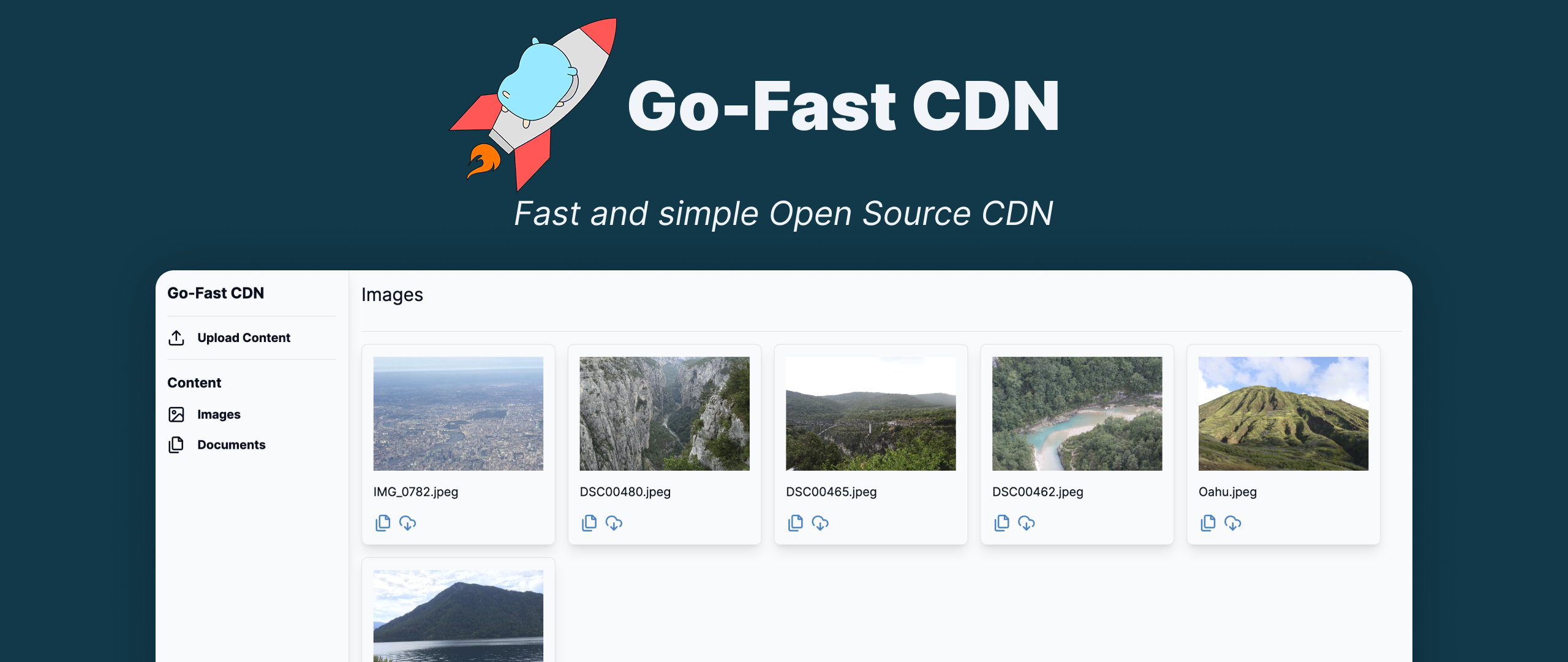 Go-Fast CDN - Fast and simple Open Source CDN