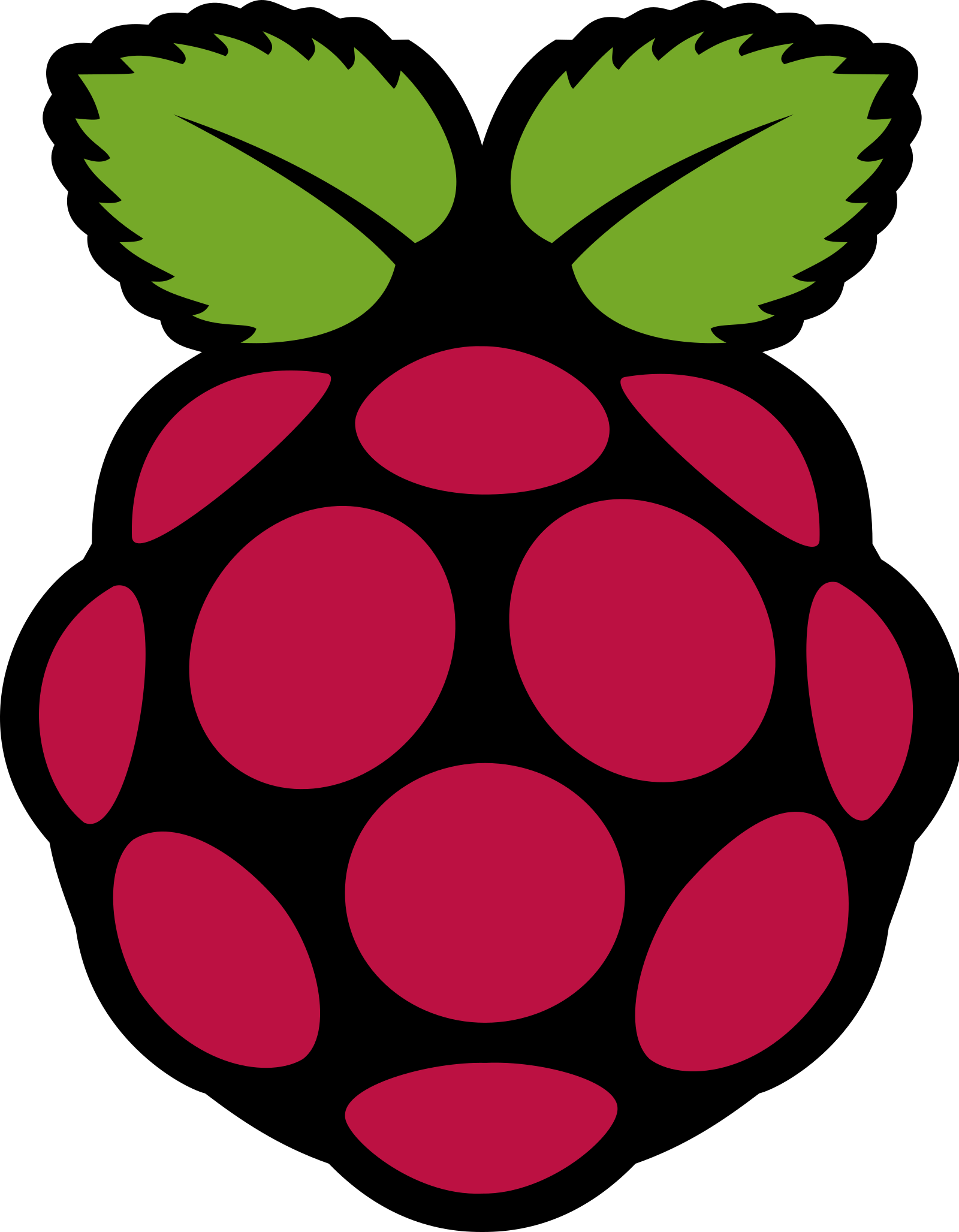 Raspberry Pi