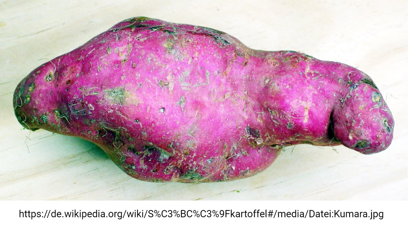 Anthocyanin transport in sweetpotato (Tweet #30)