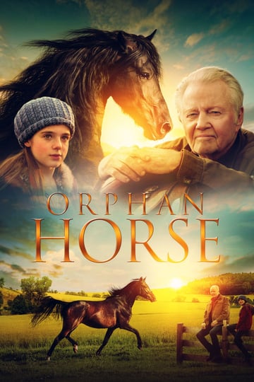 orphan-horse-1032672-1