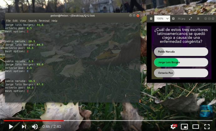 Q12 bot video