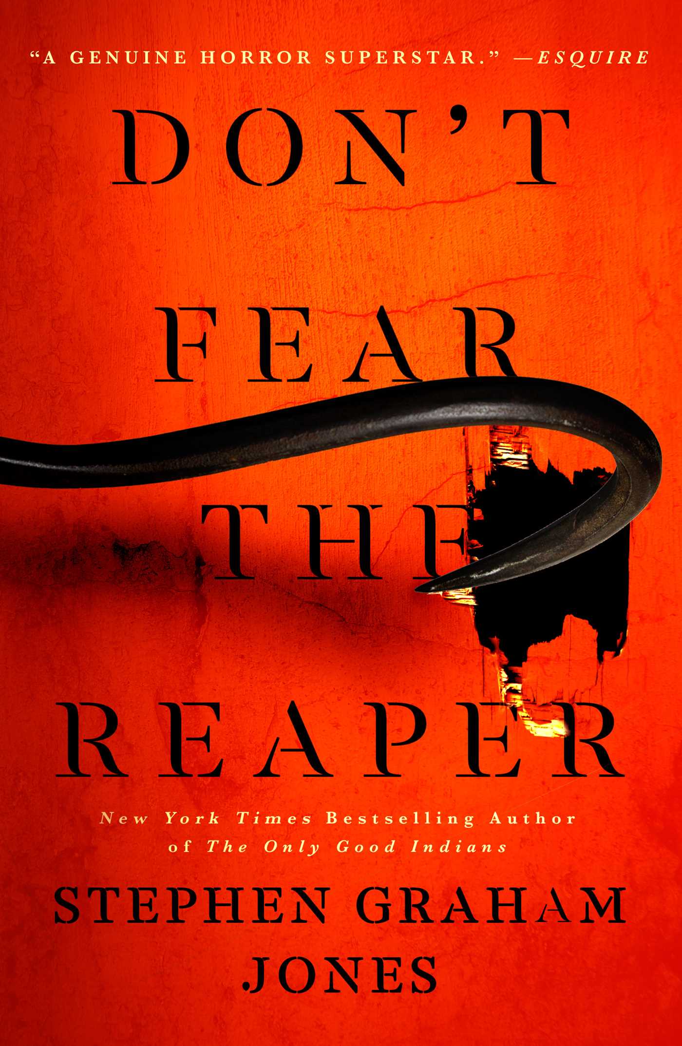 ebook download Don't Fear the Reaper (The Lake Witch Trilogy, #2)