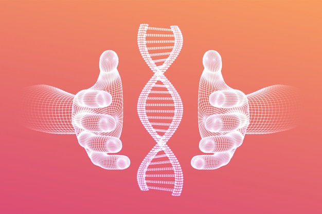 DNA Sequence