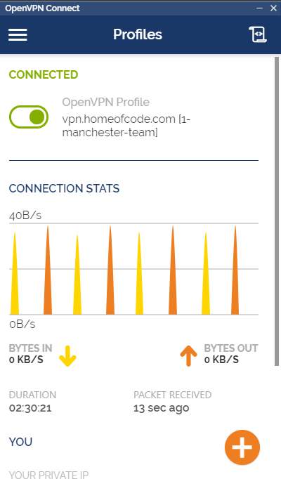 VPN picture