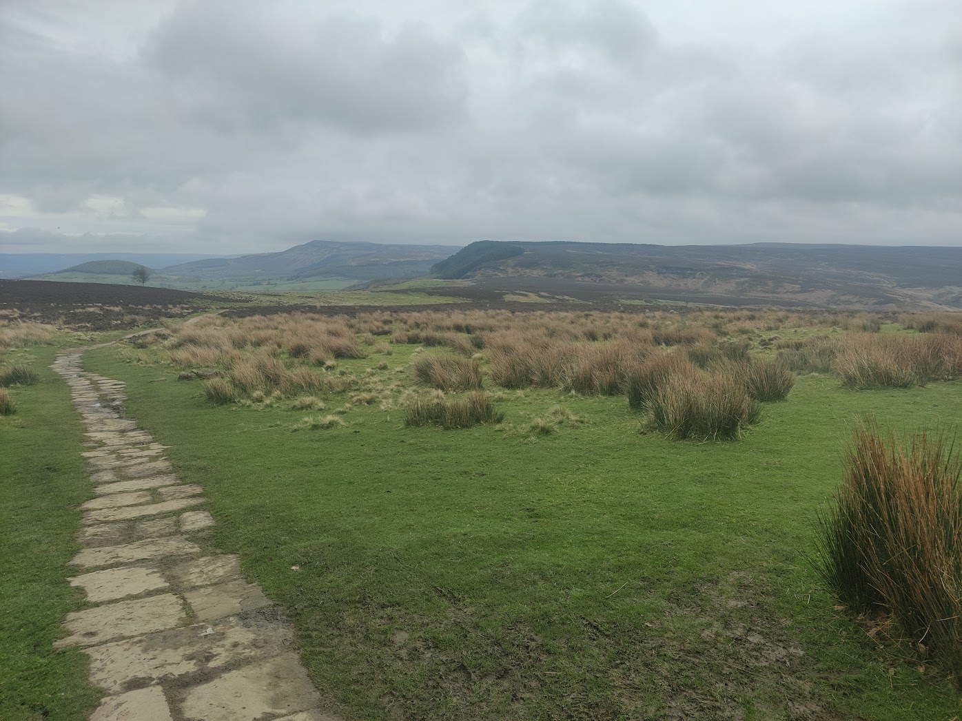 onto the moors