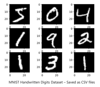 MNIST Example